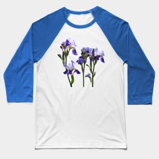 Irises - Group of Purple Irises Baseball T-Shirt